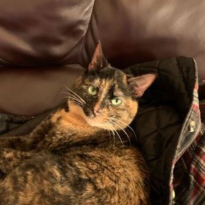 Meet your Posher, Jessie